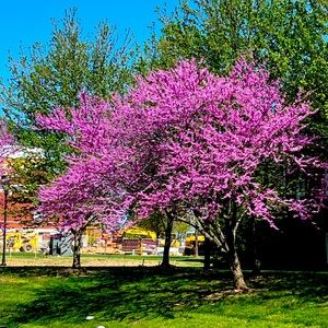 Meet your Posher, Trendz